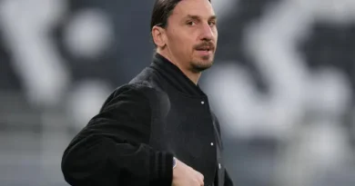 Milan AC: Ibrahimovic "Zlatanes" Himself in Italy